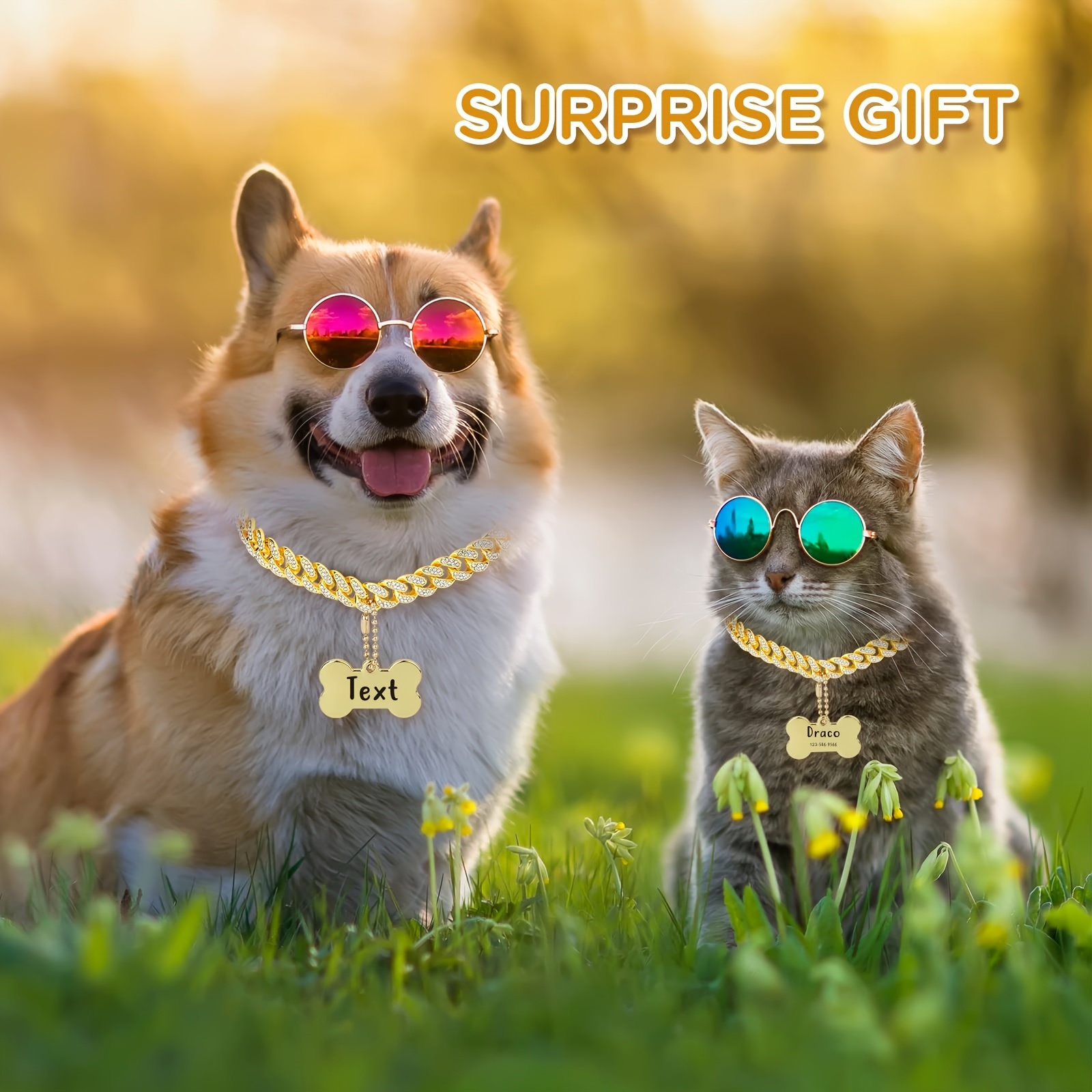 16 inç özel köpek zinciri tasm - Pet Portrait Custom incelemesi ve fiyatı